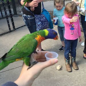 Meet your Posher, Beverly